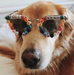 Meet your Posher, Carly